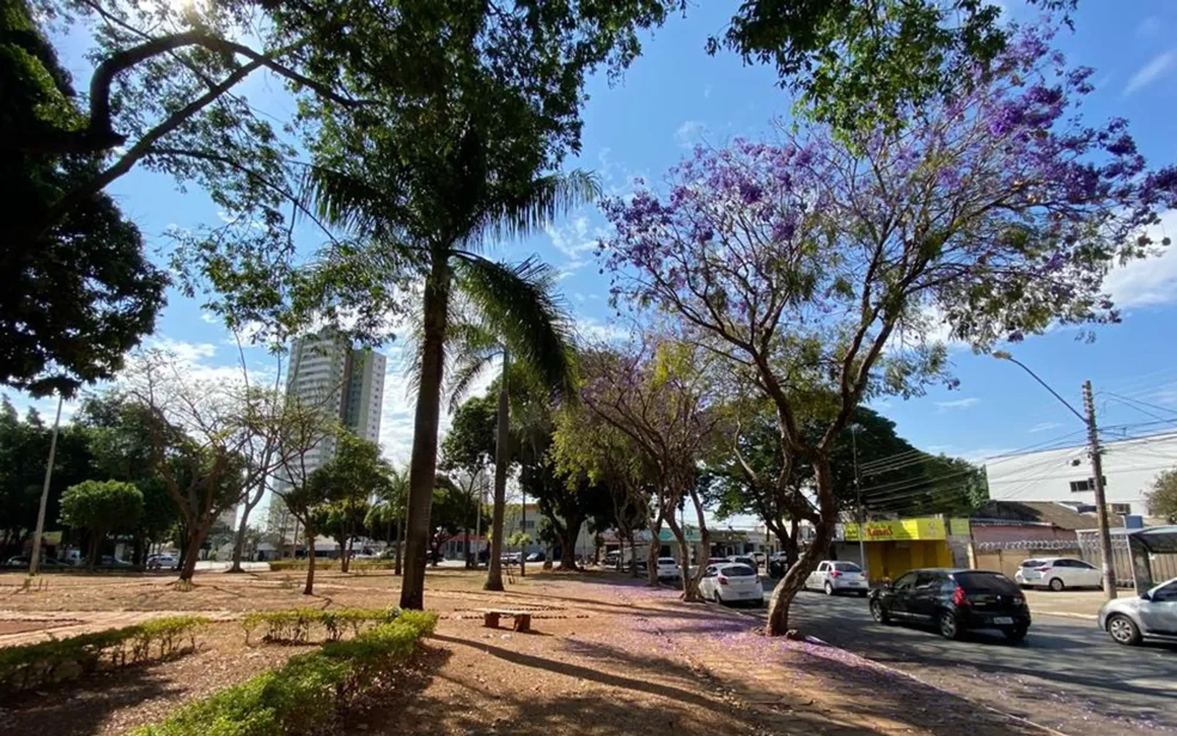 Jardim América_3
