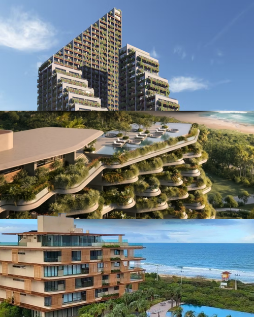 Luxo, Natureza e Sofisticação: Por Que Morar Perto da Mata no Litoral Catarinense Está Virando Tendência?