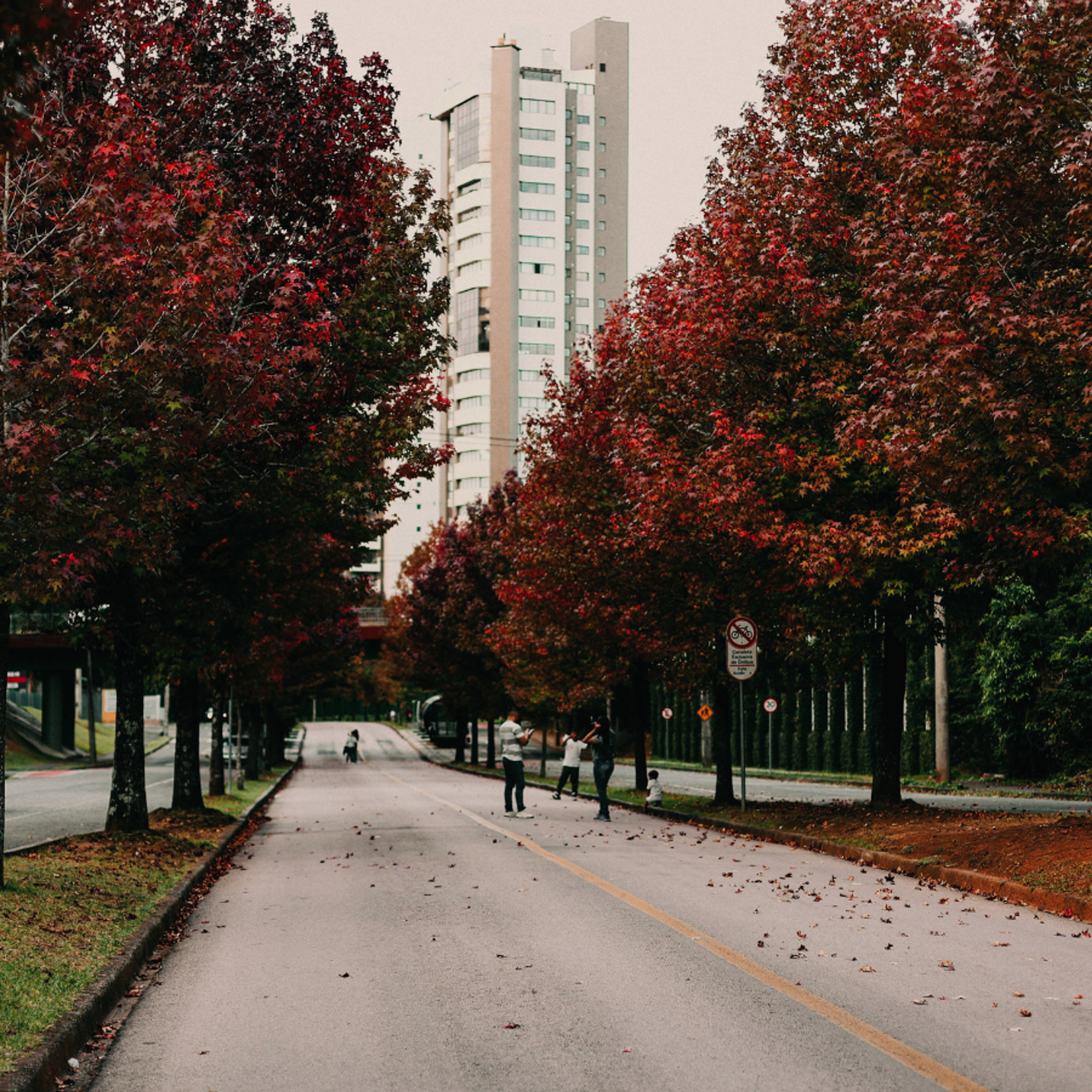 Ecoville_1