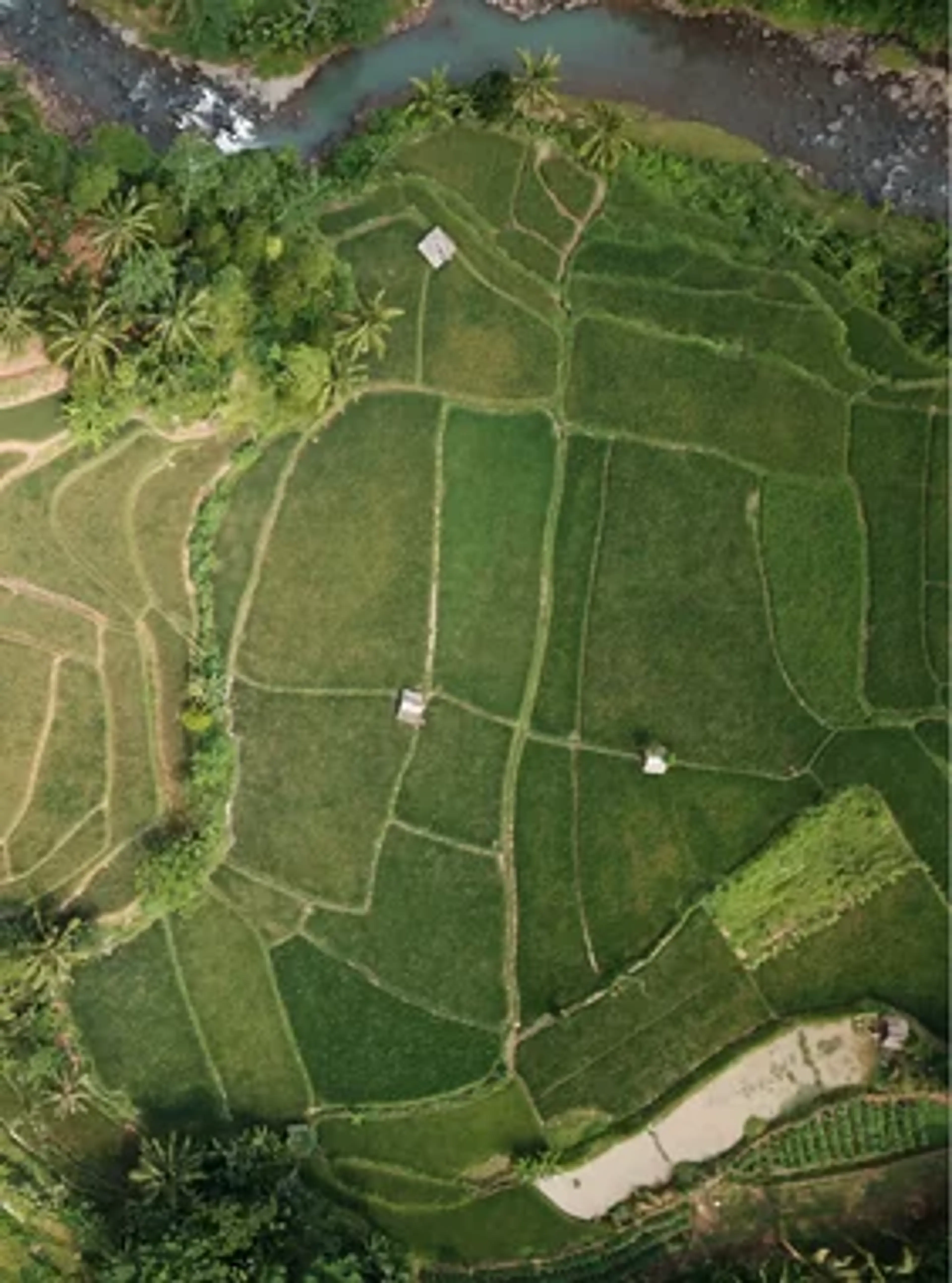Terreno_0