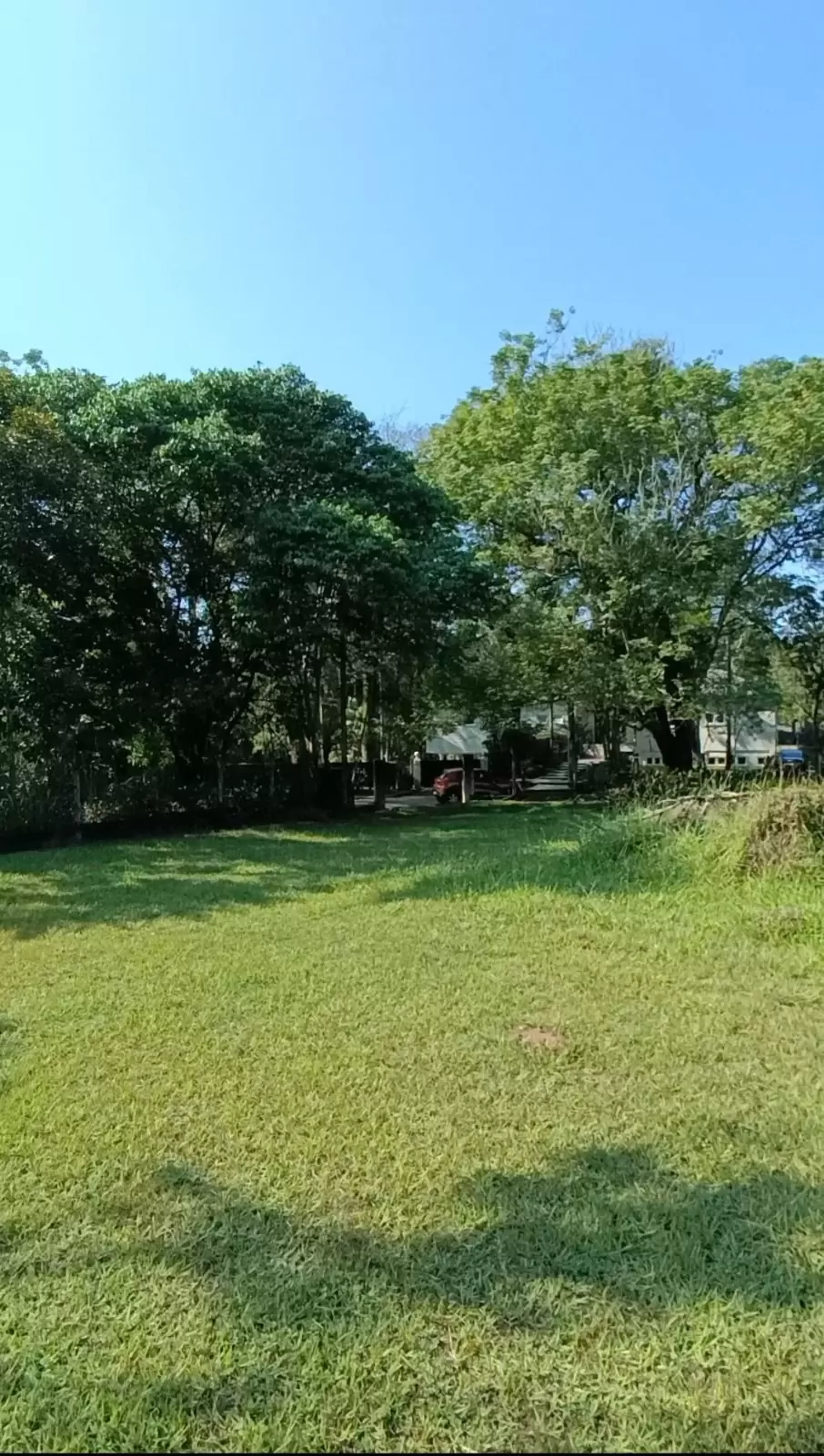 Terreno_3