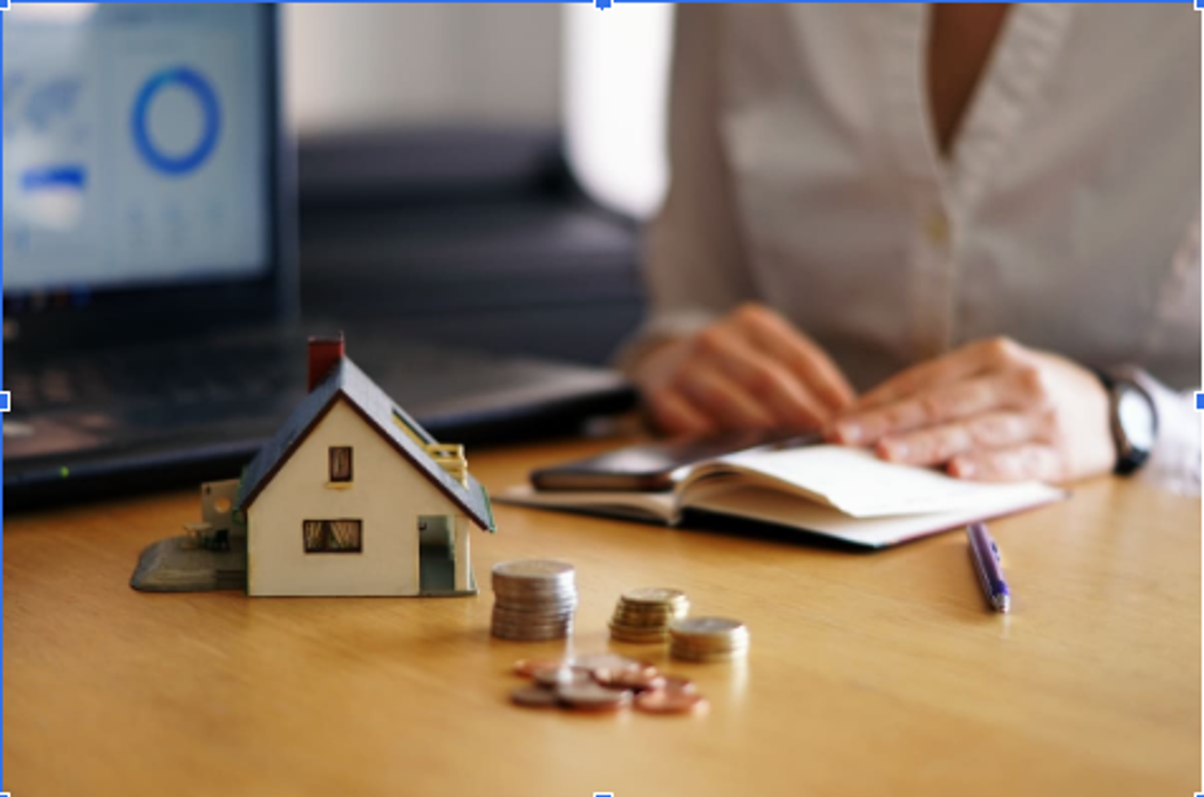 Por que investir no Campeche? Saiba mais