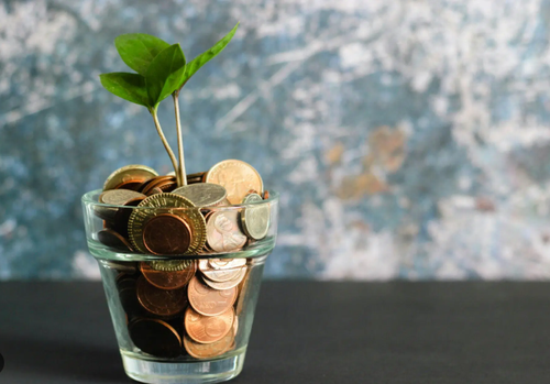 Por Que Investir em Cacupé Garante Valorização Financeira e Qualidade de Vida?