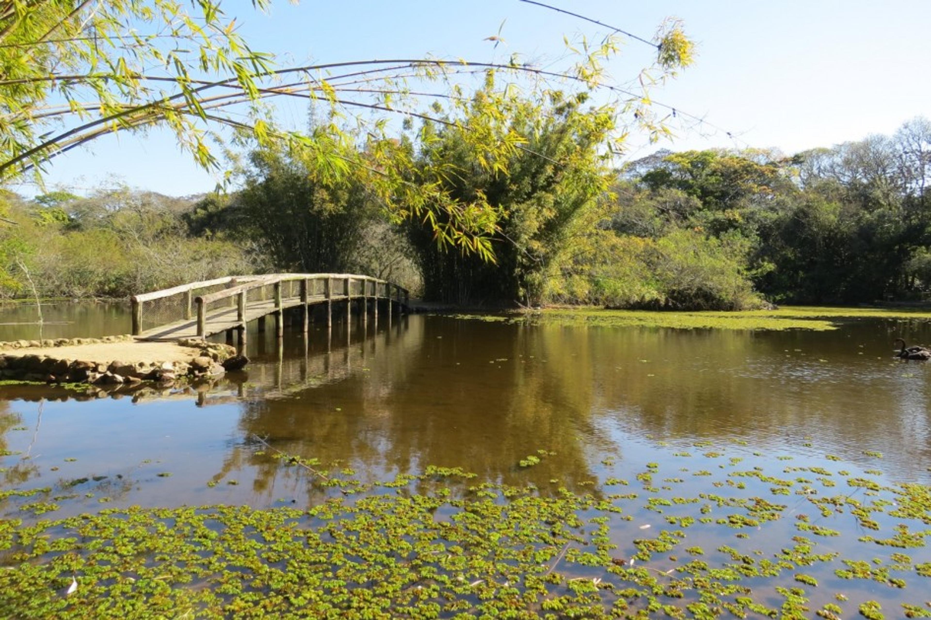 Jardim Botânico_1