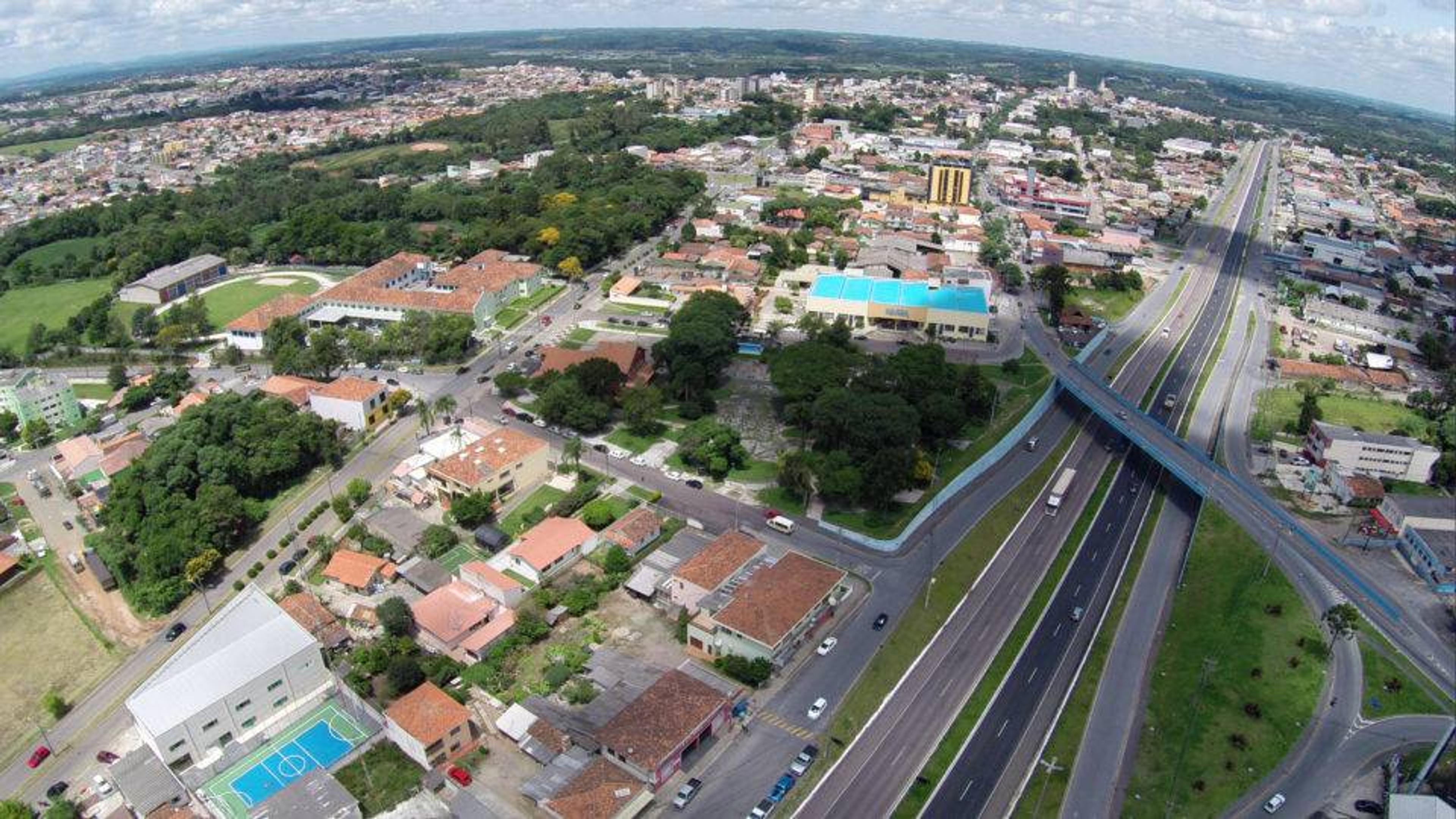 Araucária_2
