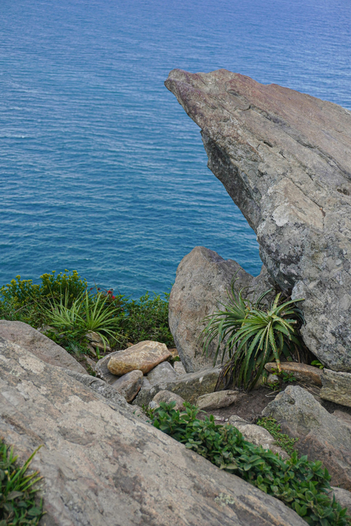 Florianópolis para Investidores: Oportunidades no Mercado de Imóveis e Turismo