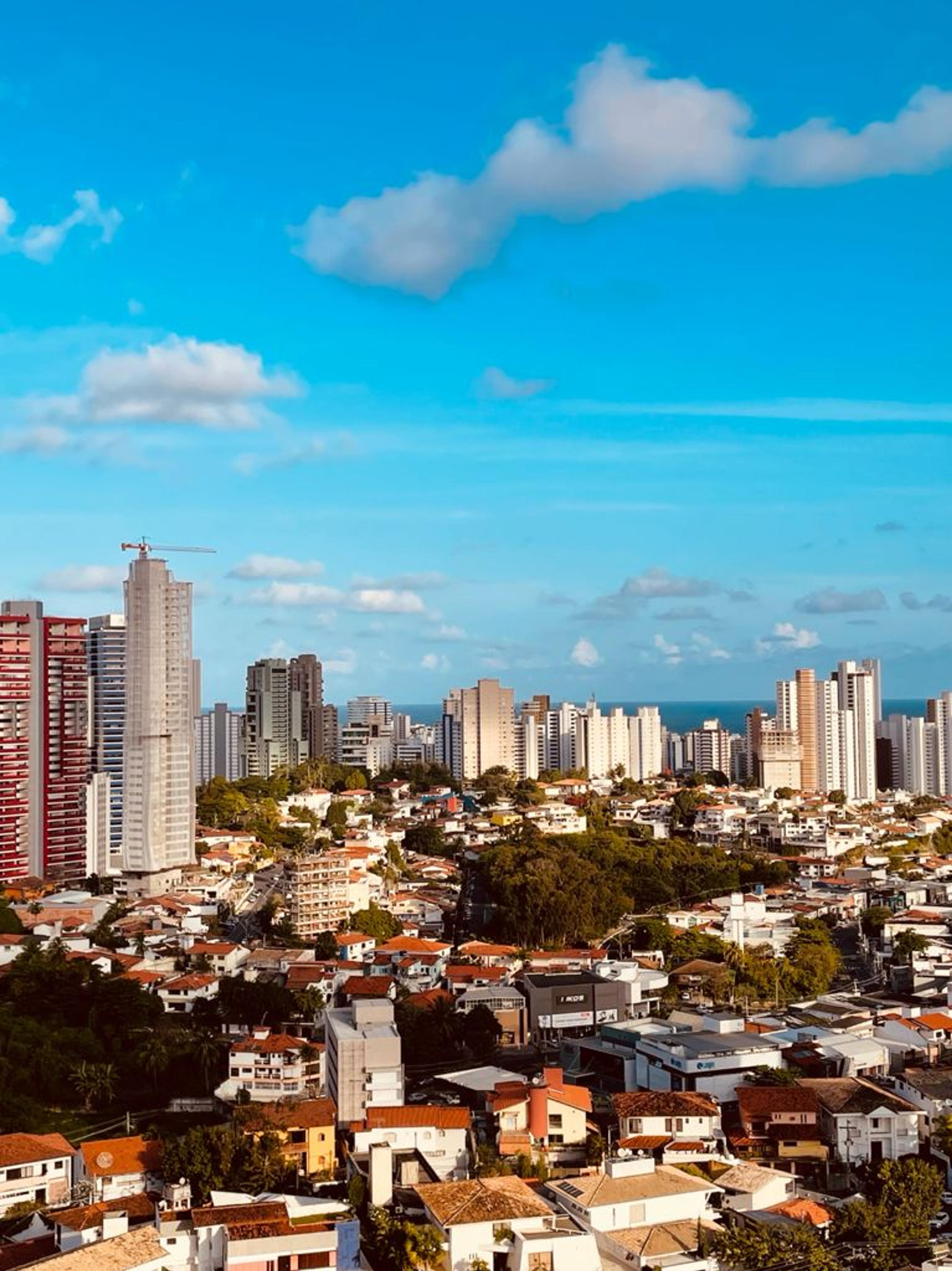 Caminho das Árvores_3