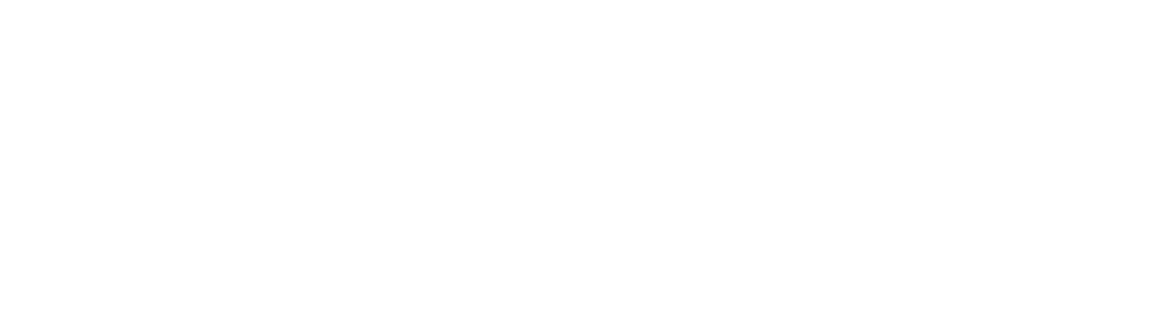 logo_footer