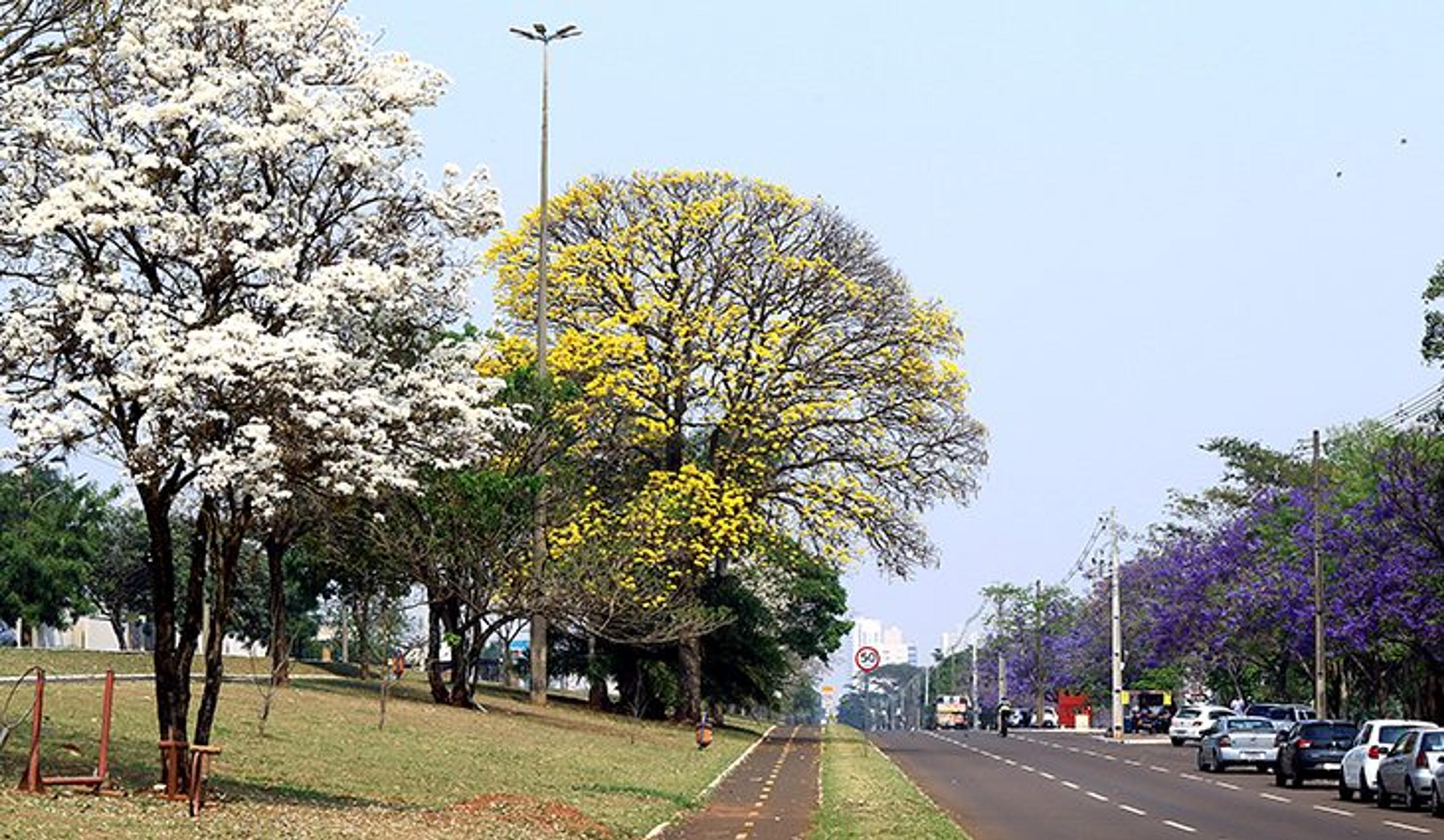 Chácara Cachoeira_1