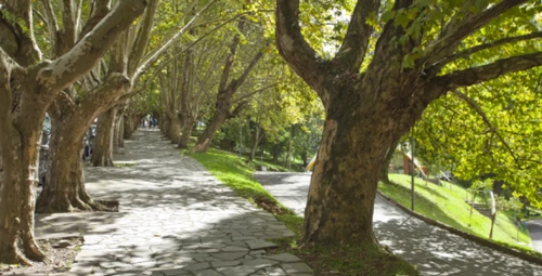 MOTIVOS PARA MORAR NO BAIRRO EXPOSIÇÃO (CAXIAS DO SUL)