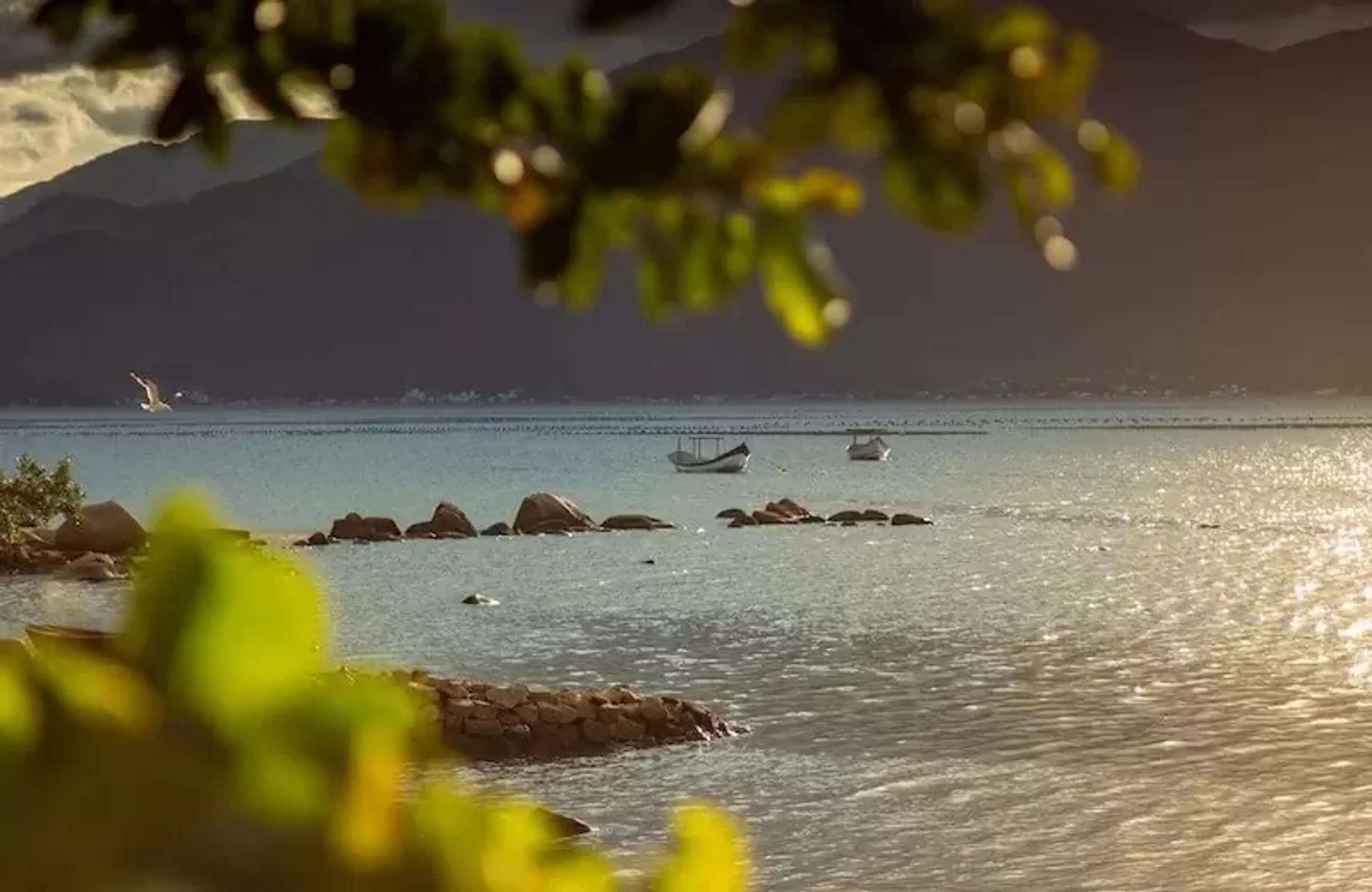 Ribeirão da Ilha_2