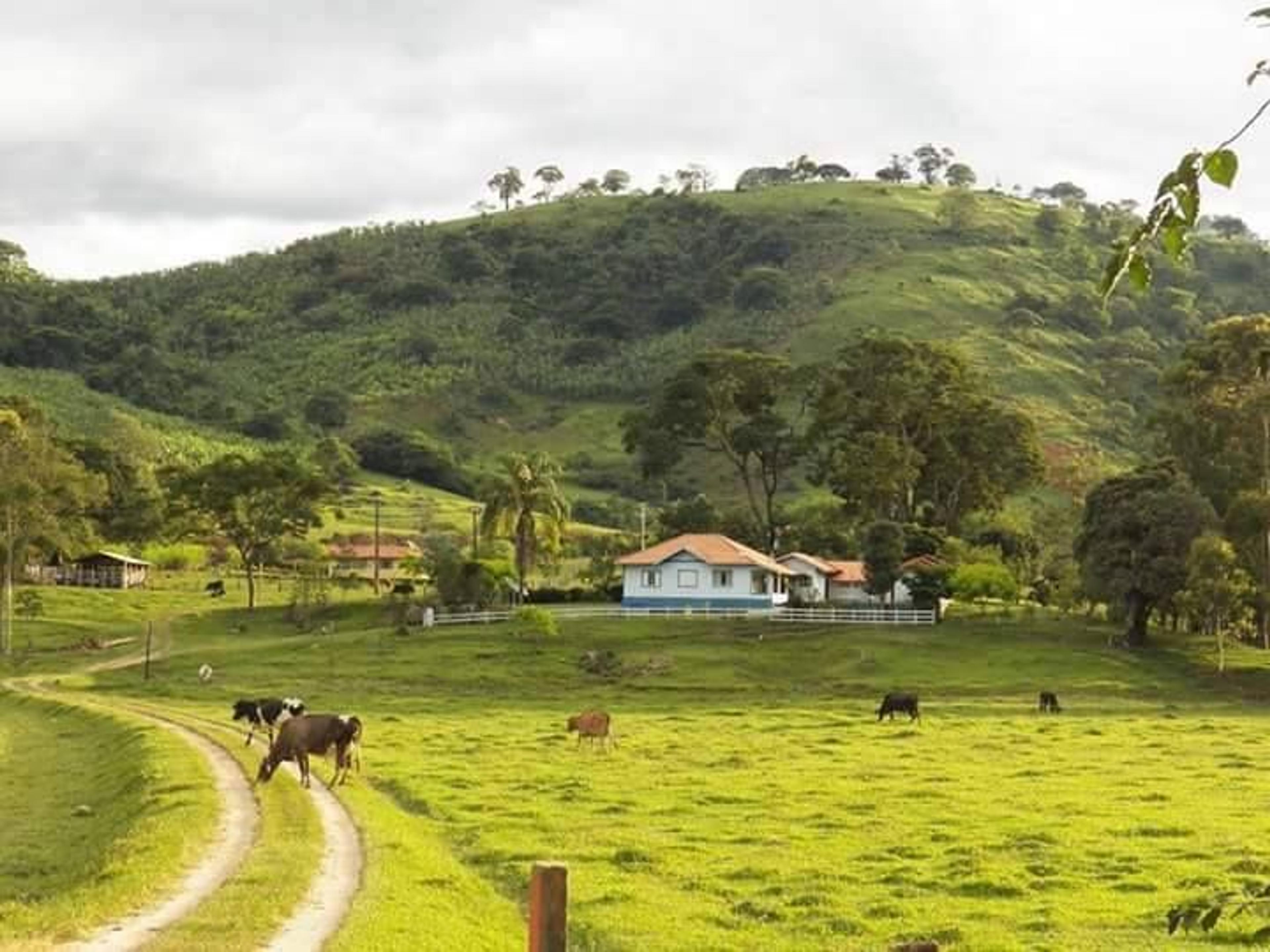 Terreno / Área_2