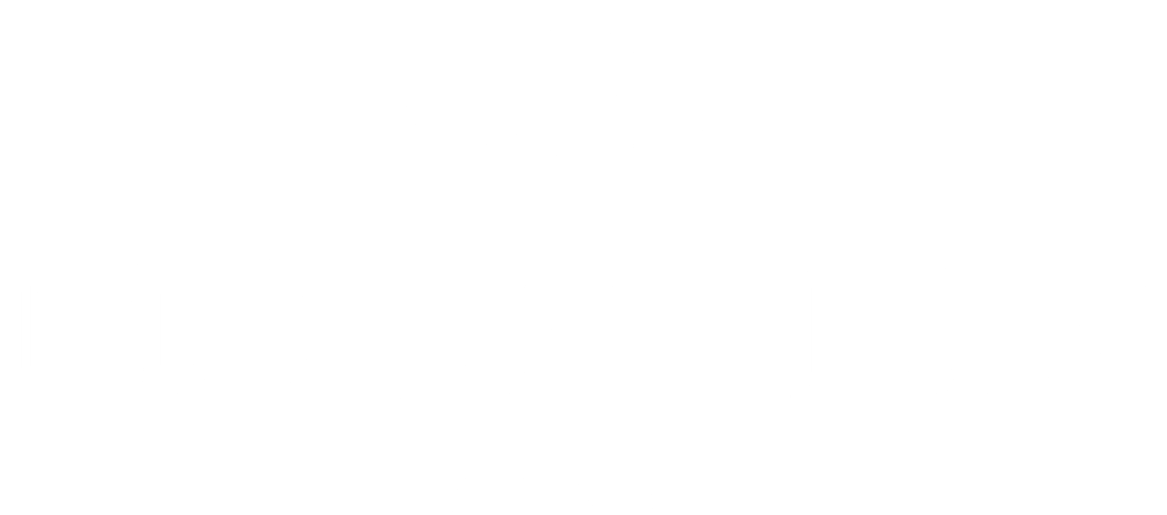 logo_footer